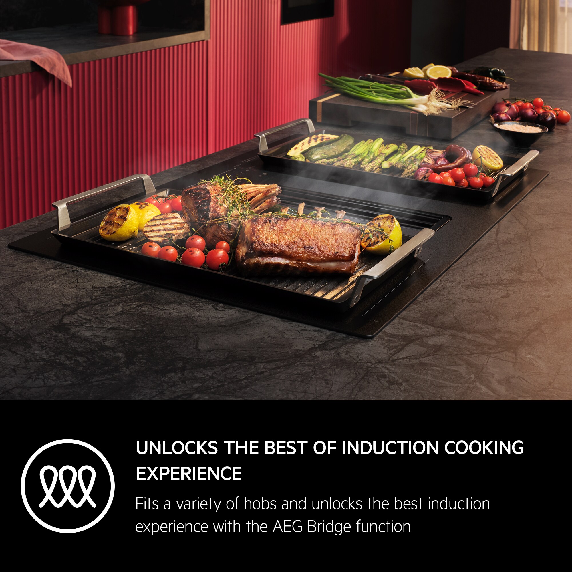 AEG - Plancha grill - A9HHPG11