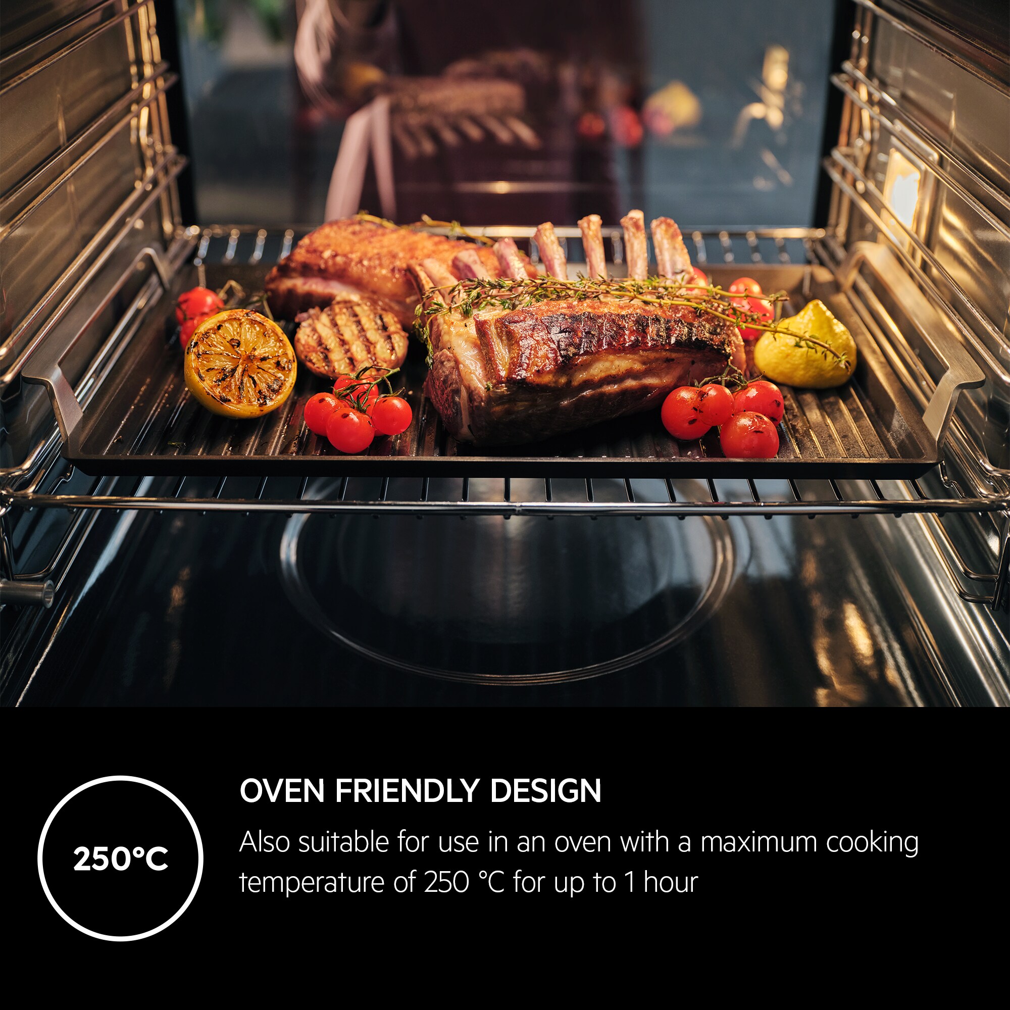 AEG - Plancha grill - A9HHPG11