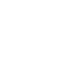 TwinTech®