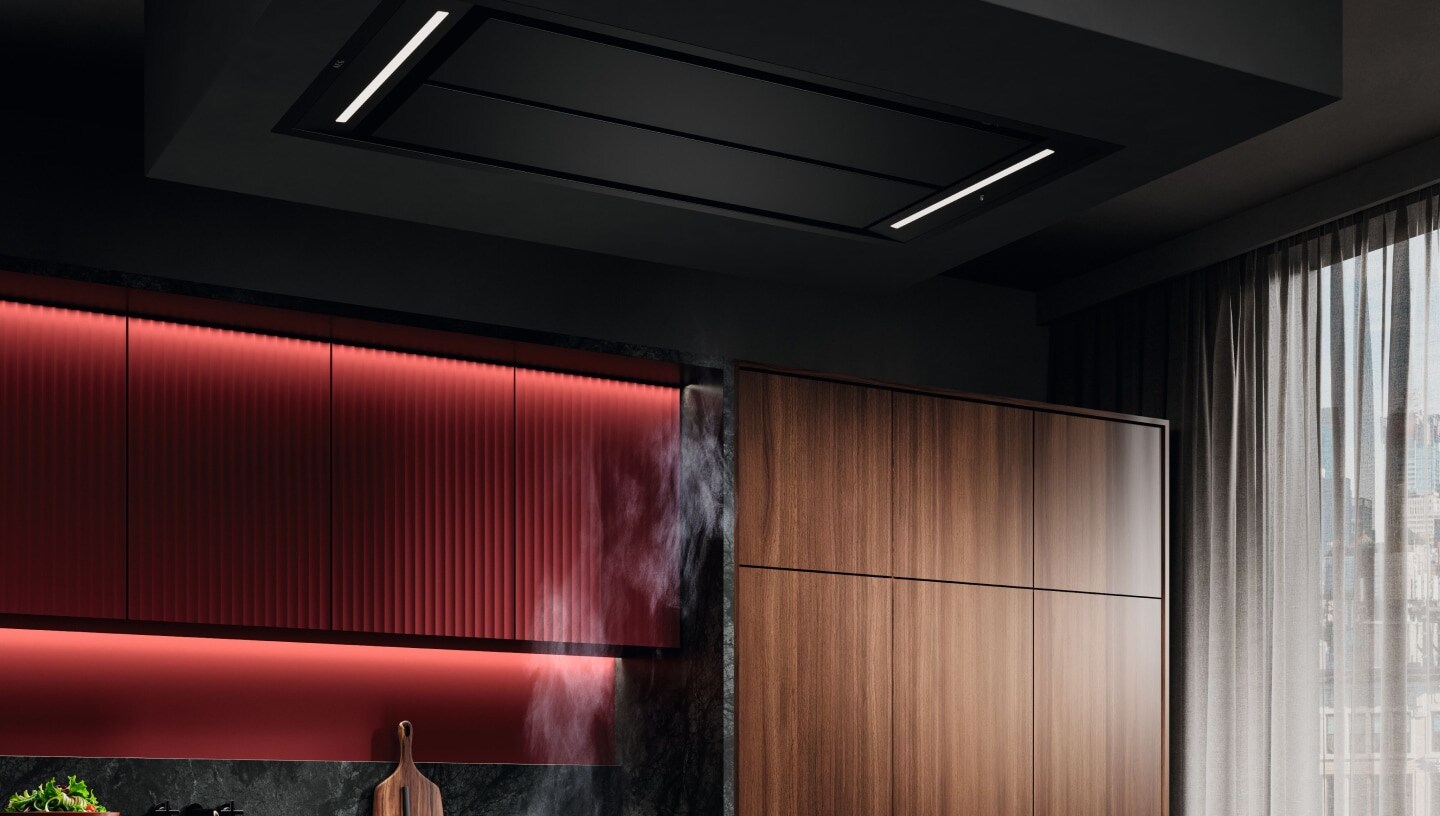 Ceiling hoods