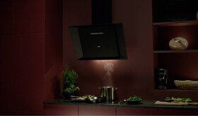 Wall-mounted hood