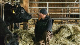 Meat chef, Ludwig Maurer and a wagyu cow