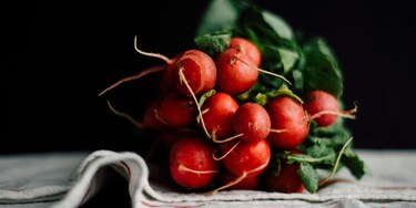 A bunch of fresh, raw radishes